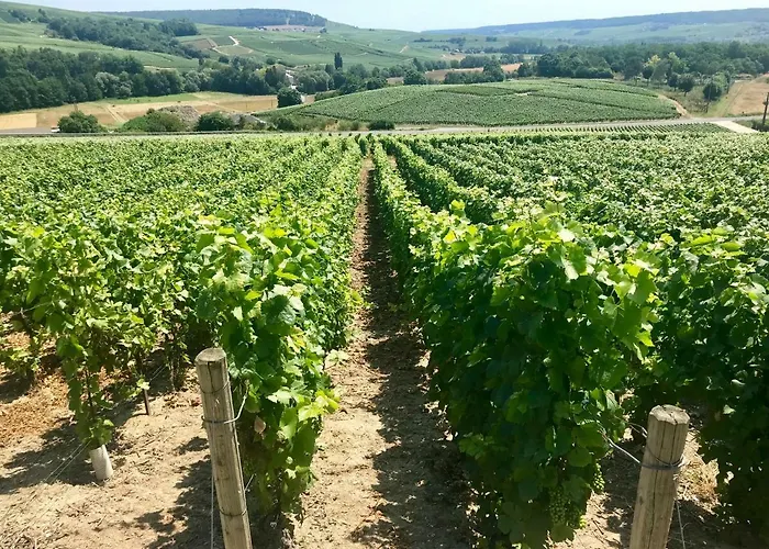 La Bulle de Champagne
